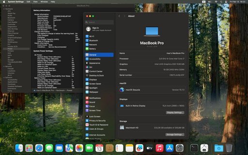 Дополнительное изображение