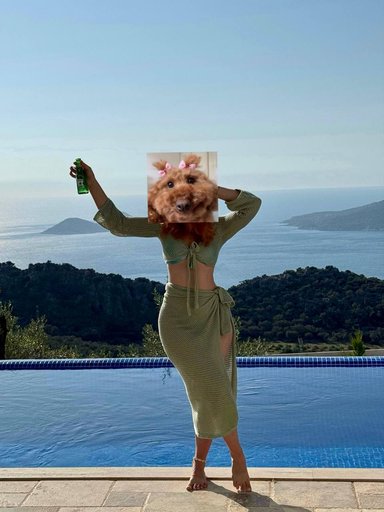 Дополнительное изображение