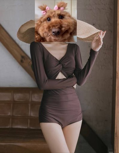 Дополнительное изображение