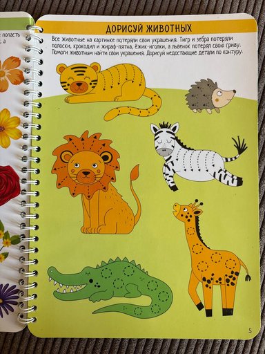 Дополнительное изображение