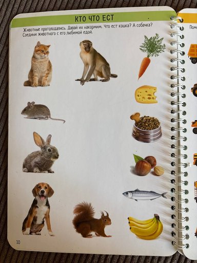 Дополнительное изображение