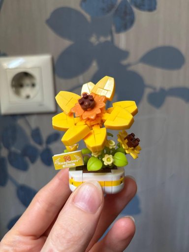 Дополнительное изображение