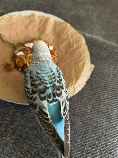 Дополнительное изображение