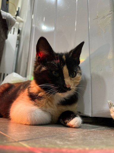 Дополнительное изображение